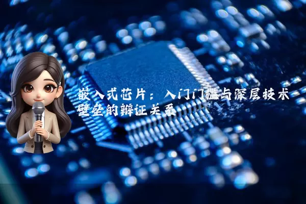 嵌入式芯片：入门门槛与深层技术壁垒的辩证关系